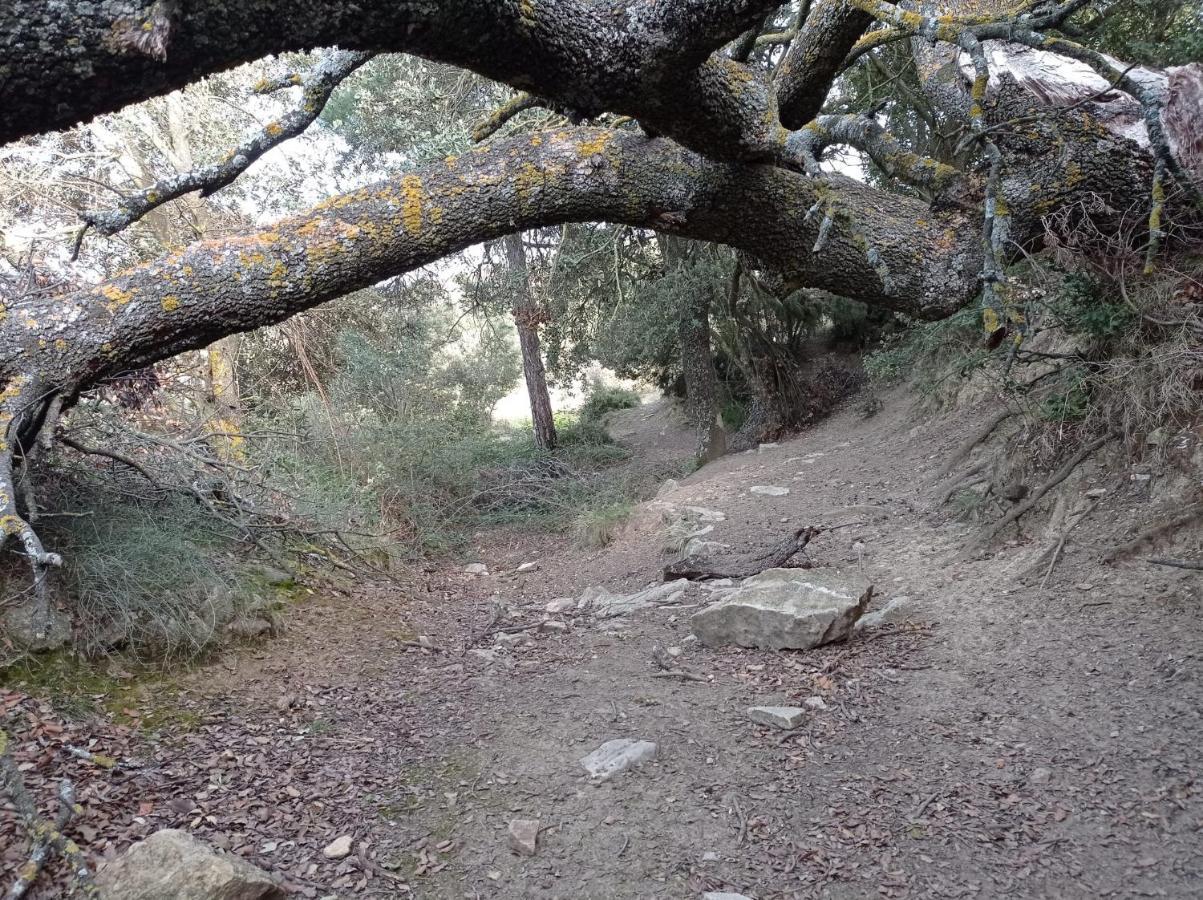 Apartamentos Casa Rural El Ventanico Olocau del Rey エクステリア 写真